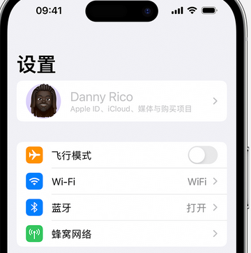 南岔appleID维修服务iPhone设置中Apple ID显示为灰色无法使用