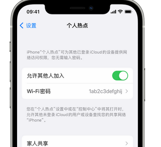 南岔apple服务站点分享iPhone上个人热点丢失了怎么办 