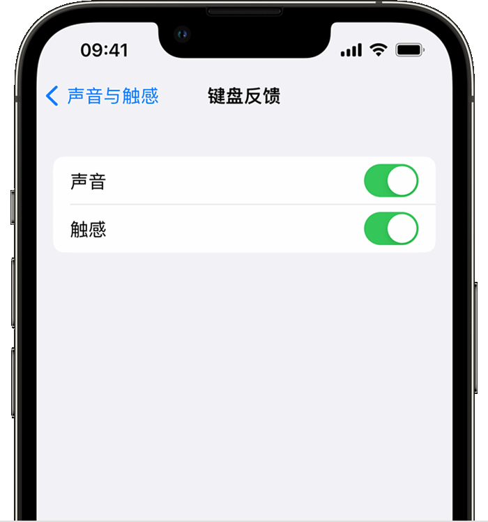 南岔苹果14维修店分享如何在 iPhone 14 机型中使用触感键盘 