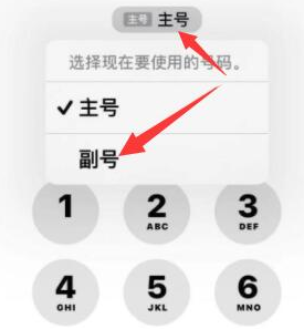 南岔苹果14维修店分享iPhone 14 Pro Max使用副卡打电话的方法 