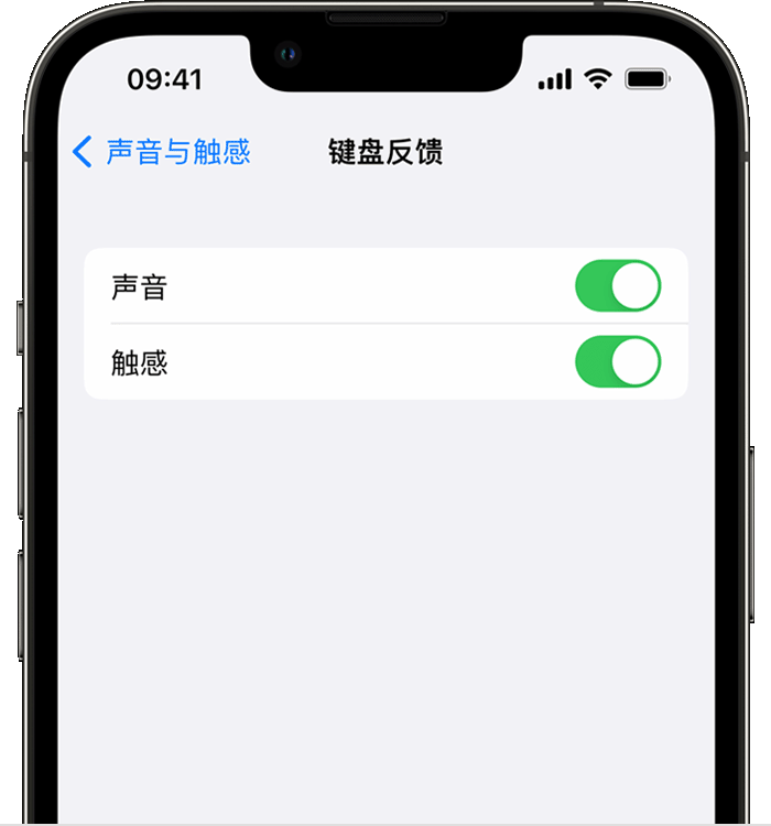 南岔苹果14维修分享iPhone 14 系列机型如何开启键盘声音或触感反馈 