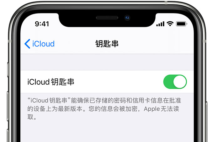 南岔苹果手机维修分享在 iPhone 上开启 iCloud 钥匙串之后会储存哪些信息 