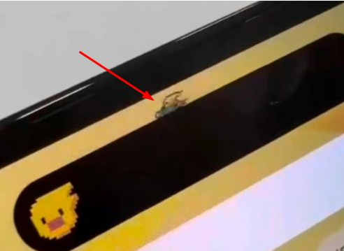 南岔苹果14维修分享iPhone 14 Pro Max灵动岛怎么养宠物 