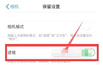 南岔苹果13维修分享iPhone13拍照有绿点是怎么回事 