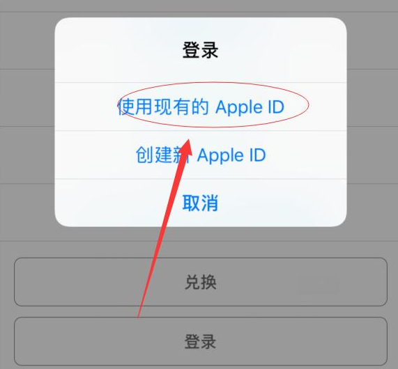 南岔苹果手机维修分享两台iPhone设备可以同时登录一个Apple ID吗 