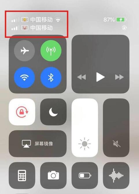 南岔苹果手机维修分享为 iPhone 12 双卡设置标签 